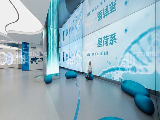 经济开发区常用绿植租赁供应商