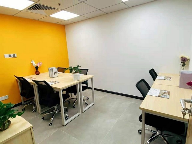 防虫小麦品种供应